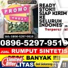 Supplier Rumput Imitasi Bantarbolang.jpg