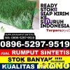 Toko Rumput Palsu Kelumpang Hilir.jpg