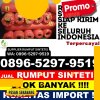 Supplier Rumput Palsu Singkohor.jpg