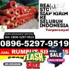 Supplier Rumput Sintetis Nguntoronadi.jpg