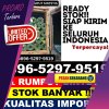 Supplier Rumput Imitasi Batang Gansal.jpg