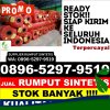 Supplier Rumput Sintetis Padangsidimpuan Hutaimbaru.jpg