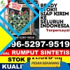 Supplier Rumput Imitasi Batu Engau.jpg