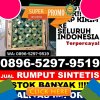 Supplier Rumput Imitasi Bebandem.jpg