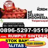 Supplier Rumput Palsu Sumbul.jpg