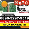 Toko Rumput Palsu Kota Sorong.jpg