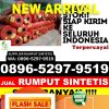 Supplier Rumput Sintetis Pangkalan Lapam.jpg