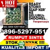 Supplier Rumput Imitasi Blang Mangat.jpg