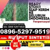 Toko Rumput Palsu Koto Salak.jpg