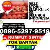 Supplier Rumput Palsu Talang.jpg