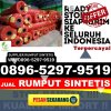 Supplier Rumput Sintetis Pasar Rebo.jpg