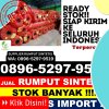 Supplier Rumput Sintetis Pejagoan.jpg