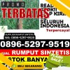 Toko Rumput Palsu Langkaplancar.jpg