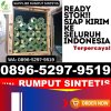 Supplier Rumput Imitasi Cambai.jpg