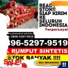 Supplier Rumput Sintetis Pesisir Utara.jpg