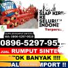 Supplier Rumput Sintetis Pitu Riawa.jpg