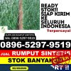 Toko Rumput Palsu Lintau Buo Utara.jpg