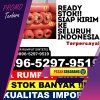 Supplier Rumput Palsu Teluk Bintan.jpg