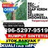 Toko Rumput Palsu Luahagundre Maniamolo.jpg