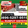 Supplier Rumput Sintetis Pringkuku.jpg