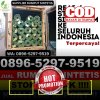 Supplier Rumput Imitasi Cilincing.jpg