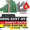 Toko Rumput Palsu Lumut.jpg