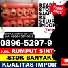 Supplier Rumput Palsu Tobelo Barat.jpg