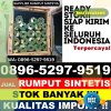 Supplier Rumput Imitasi Cluwak.jpg