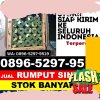 Supplier Rumput Imitasi Darma.jpg