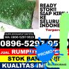 Supplier Rumput Imitasi Dende Piongan Napo.jpg