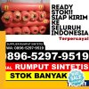 Supplier Rumput Palsu Ungaran Barat.jpg