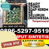 Supplier Rumput Plastik Ajangale.jpg