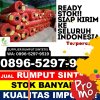 Supplier Rumput Sintetis Sayan.jpg