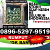 Supplier Rumput Plastik Andong.jpg