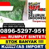 Supplier Rumput Imitasi Gunungsitoli Selatan.jpg