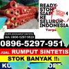 Supplier Rumput Sintetis Sekadau Hulu.jpg