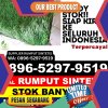 Supplier Rumput Imitasi Hulusungkai.jpg