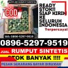 Supplier Rumput Plastik Bacukiki Barat.jpg