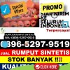 Supplier Rumput Sintetis Sendang Agung.jpg