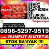 Supplier Rumput Sintetis Siantar Selatan.jpg