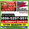 Supplier Rumput Sintetis Sihapas Barumun.jpg