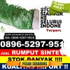 Supplier Rumput Imitasi Kabupaten Aceh Tamiang.jpg