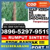 Toko Rumput Palsu Makassar.jpg