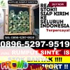 Supplier Rumput Plastik Baros.jpg