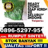 Supplier Rumput Imitasi Kabupaten Blitar.jpg