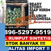 Toko Rumput Sintetis Bandar Masilam.jpg