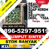 Supplier Rumput Plastik Batang Natal.jpg