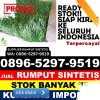 Supplier Rumput Imitasi Kabupaten Hulu Sungai Tengah.jpg