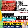 Supplier Rumput Sintetis Sitahuis.jpg