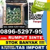 Toko Rumput Sintetis Banguntapan.jpg